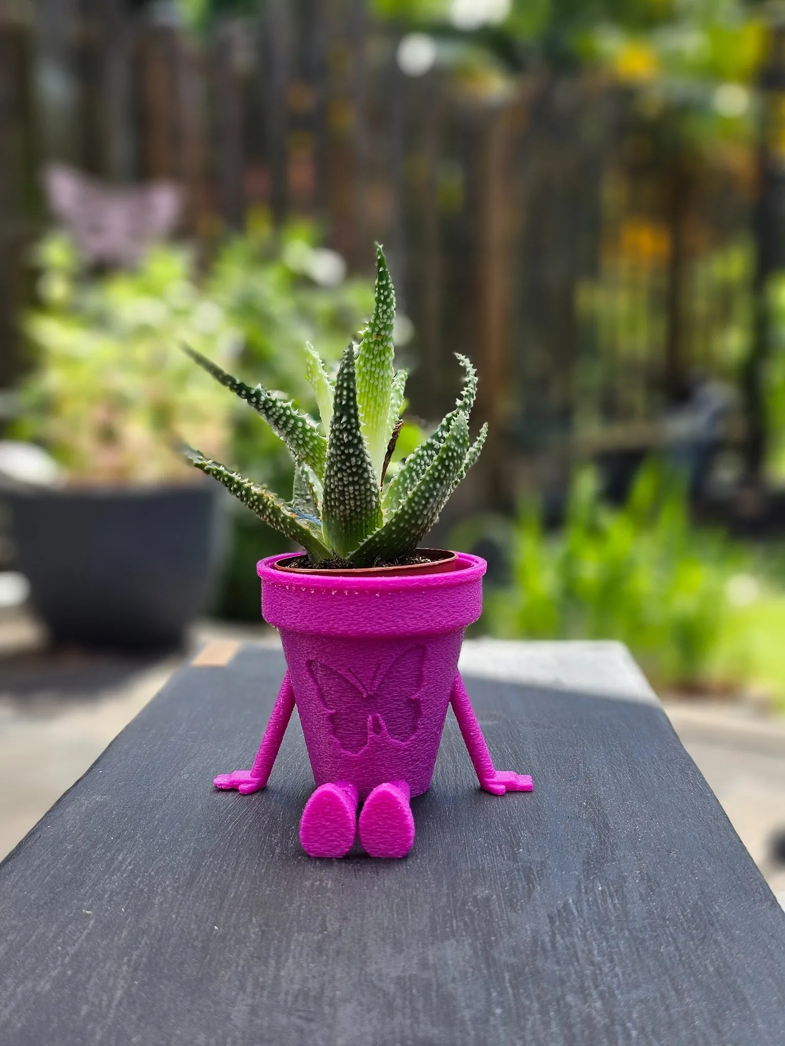 Papilio Pot in Fuchsia – dekorativer Pflanztopf mit zartem Schmetterlings-Design, 3D-gedruckt aus PLA, ideal für Innenräume & stilvolle Pflanzenpräsentation.