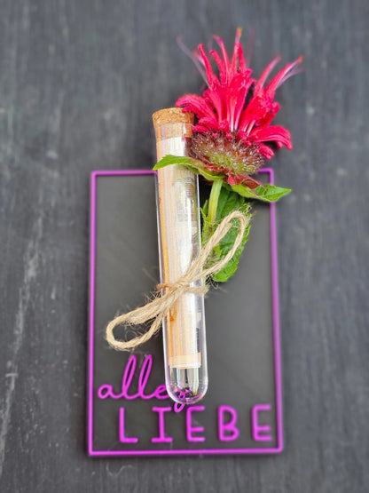 Karte mit Reagenzglas und rosa Blume, dekorativem Geldschein und Schriftzug „alles LIEBE“ in pink