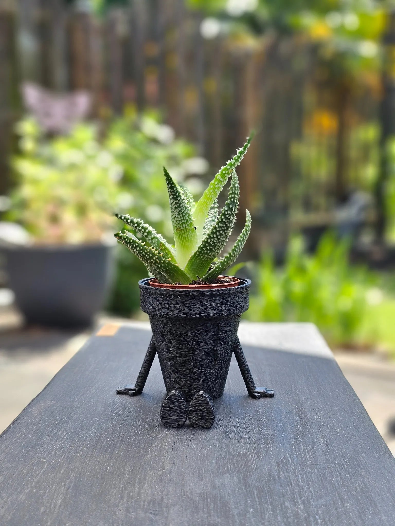 Papilio Pot in schwarz – dekorativer Pflanztopf mit zartem Schmetterlings-Design, 3D-gedruckt aus PLA, ideal für Innenräume & stilvolle Pflanzenpräsentation.